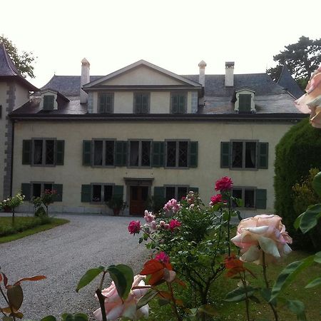 Chateau De Veigy Hotel ภายนอก รูปภาพ