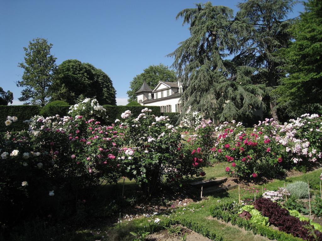 Chateau De Veigy Hotel ภายนอก รูปภาพ
